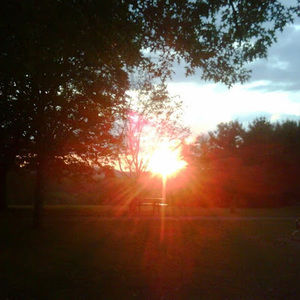 Meet your Posher, Diane